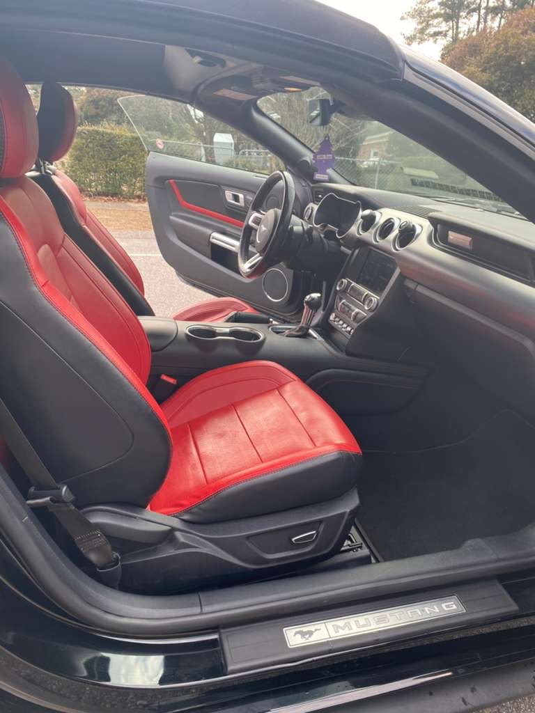 2019 Ford Mustang EcoBoost Premium - Photo 7